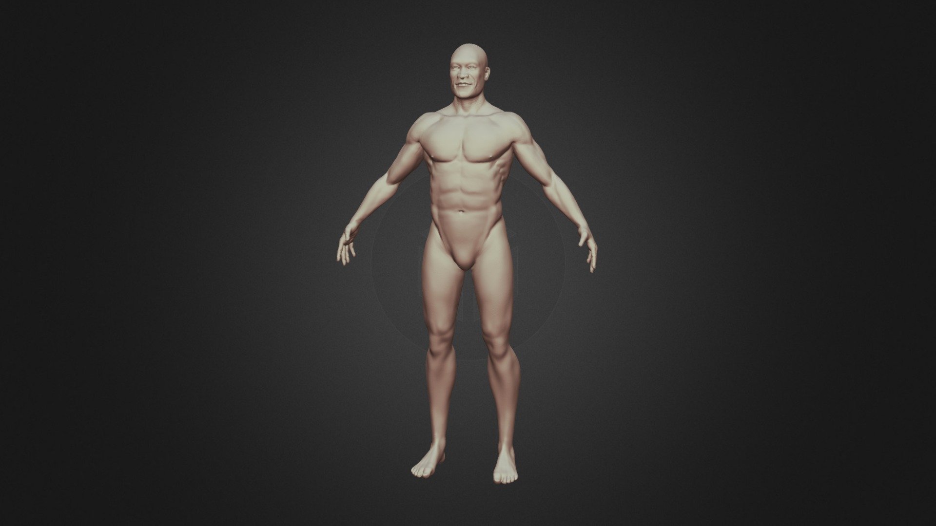 Male Anatomy Sculpt