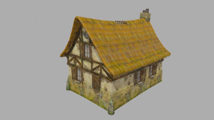 Medieval straw house