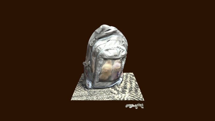 A Bag - Scaniverse 3D Model