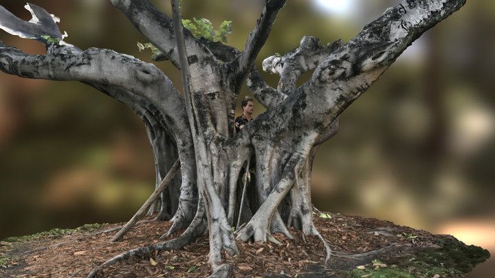 Transplant - Mike 3D Model