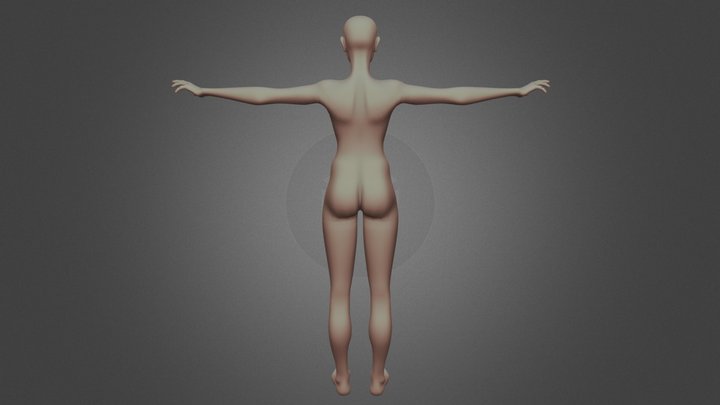 Female Base Mesh 3D Model