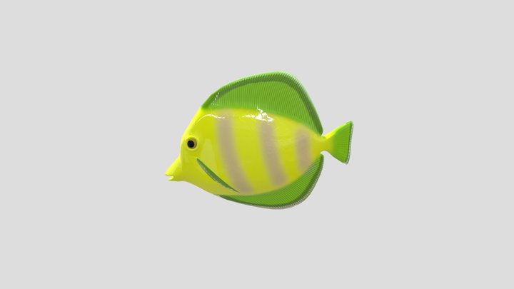 Fish 3D Model