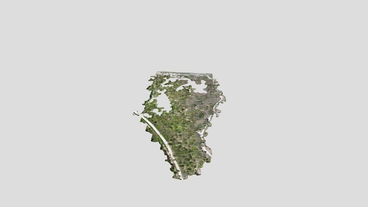 Florida Scrub-Jay Habitat 3D Model