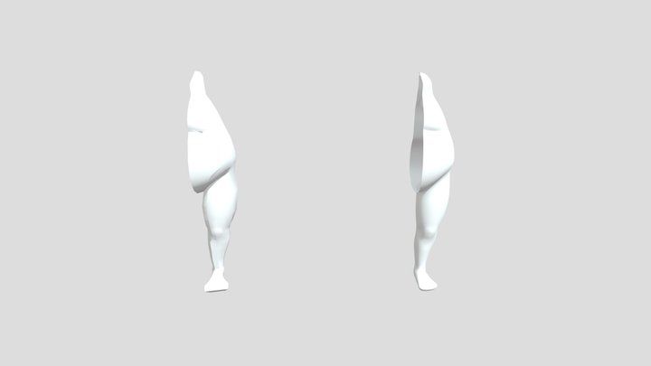 Torso Piernas 3D Model