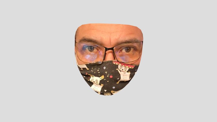 facemask 002 3D Model