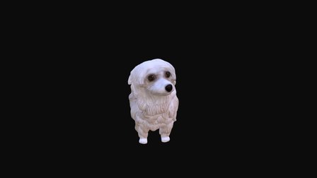 Maltese 3D Model
