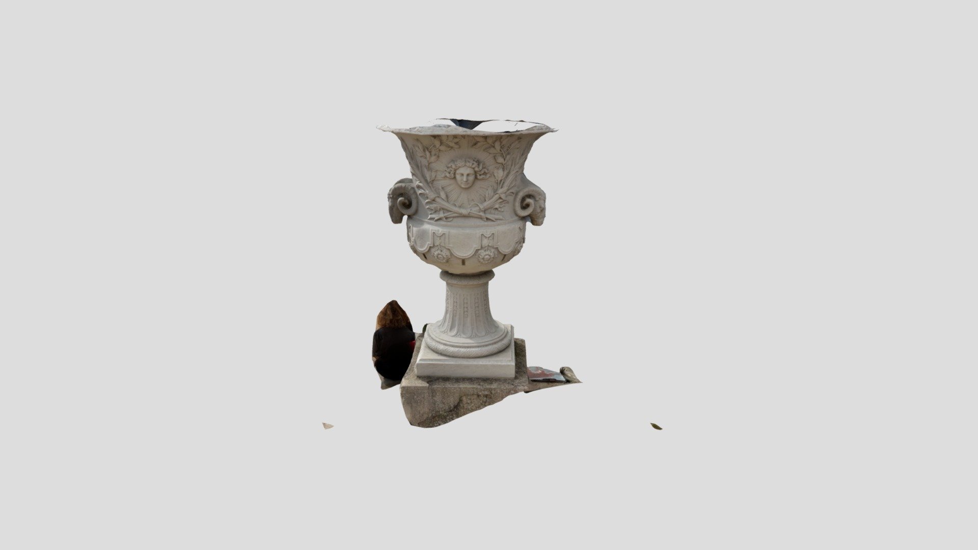 Polycam capture