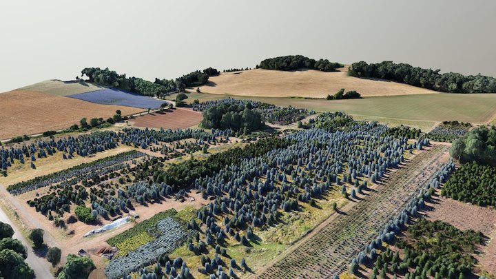 Wildflower field and nursery 3D Model
