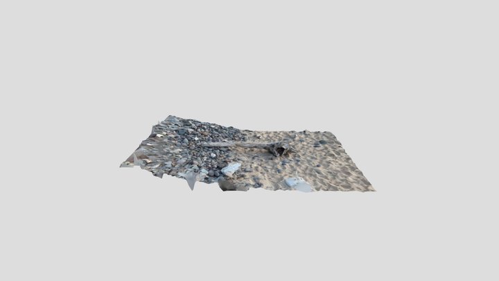 Test Scan 01 Dead Tree Sardegna 3D Model