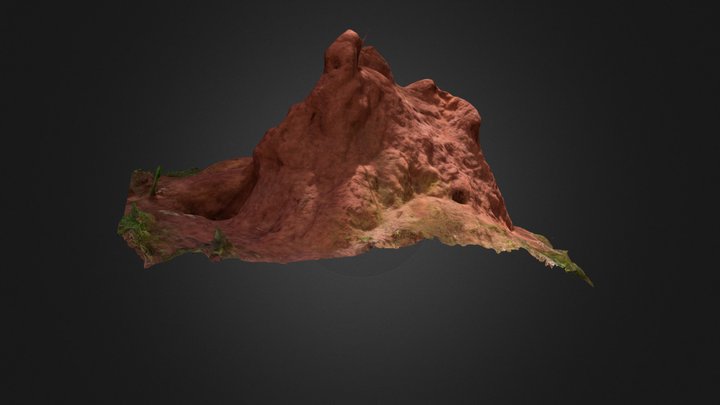 Termite mound 3D Model