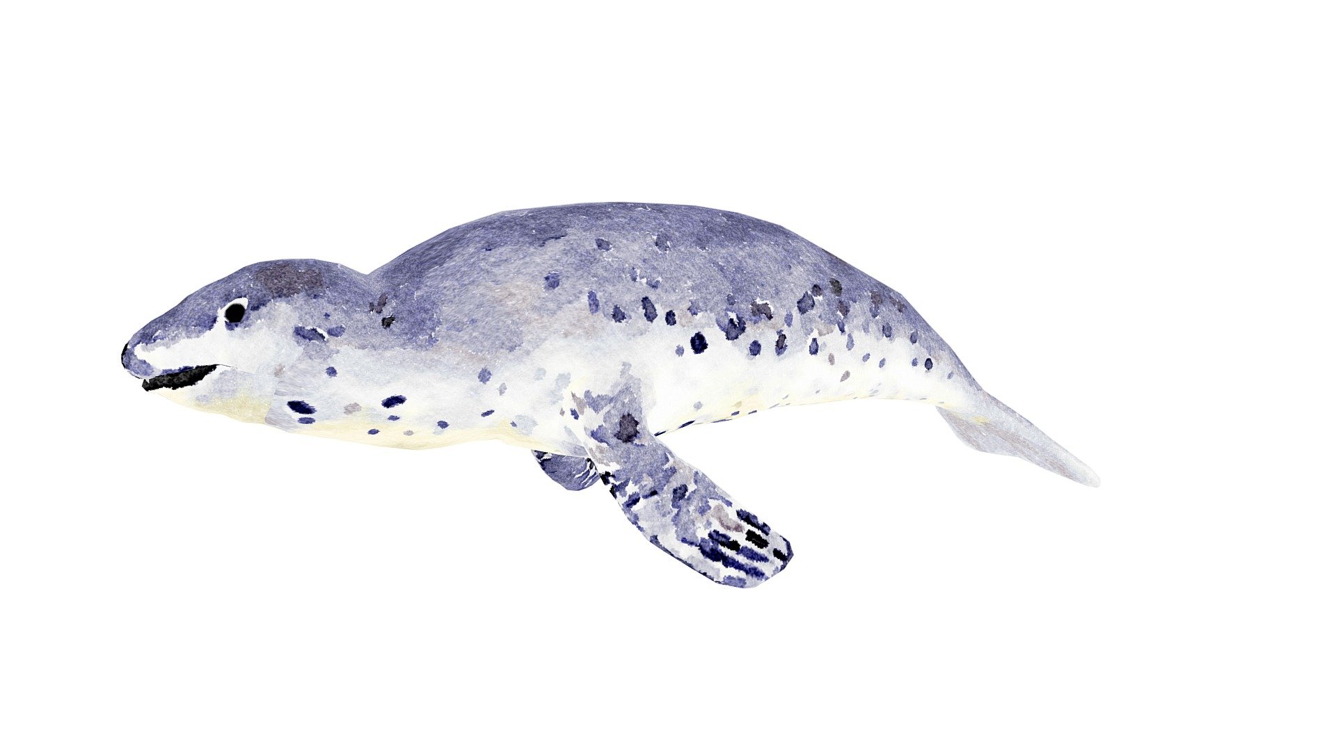 Leopard Seal Illustration