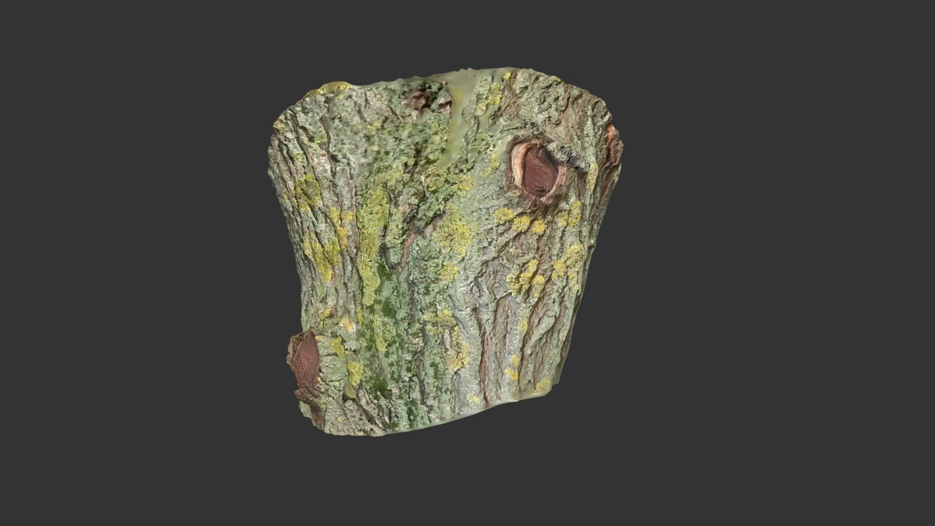 Bark02