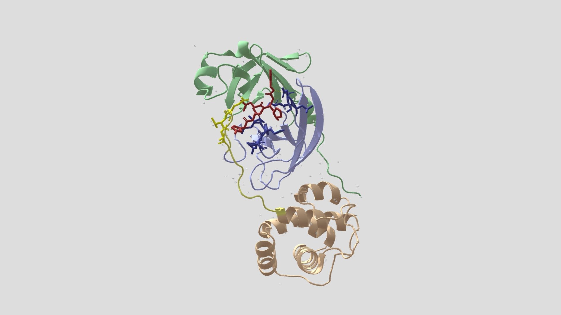 SARS-CoV-2 main protease (Mpro) + N3 inhibitor - 3D model by fdempster ...