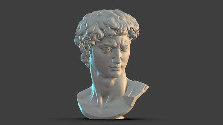 Head Of Michelangelo's David, Optimised 3D Model