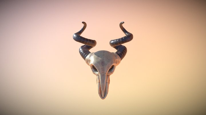 Ram Skull 3D Model