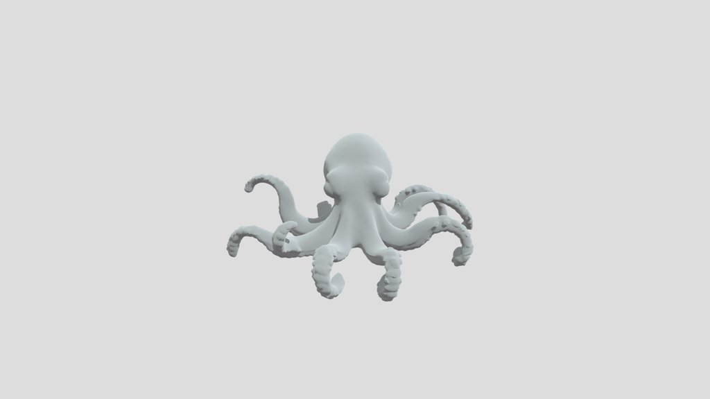 octopus