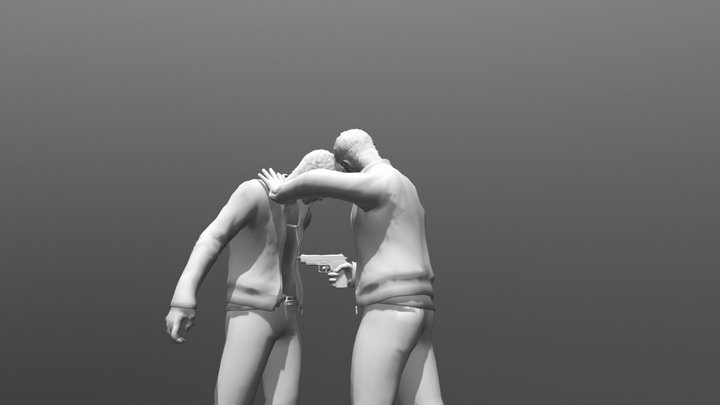 Gutshot Animation Loop 3D Model
