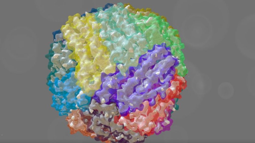 EMD 2788 - 3D model by Interactive 3D Data (@proteinsimulation ...