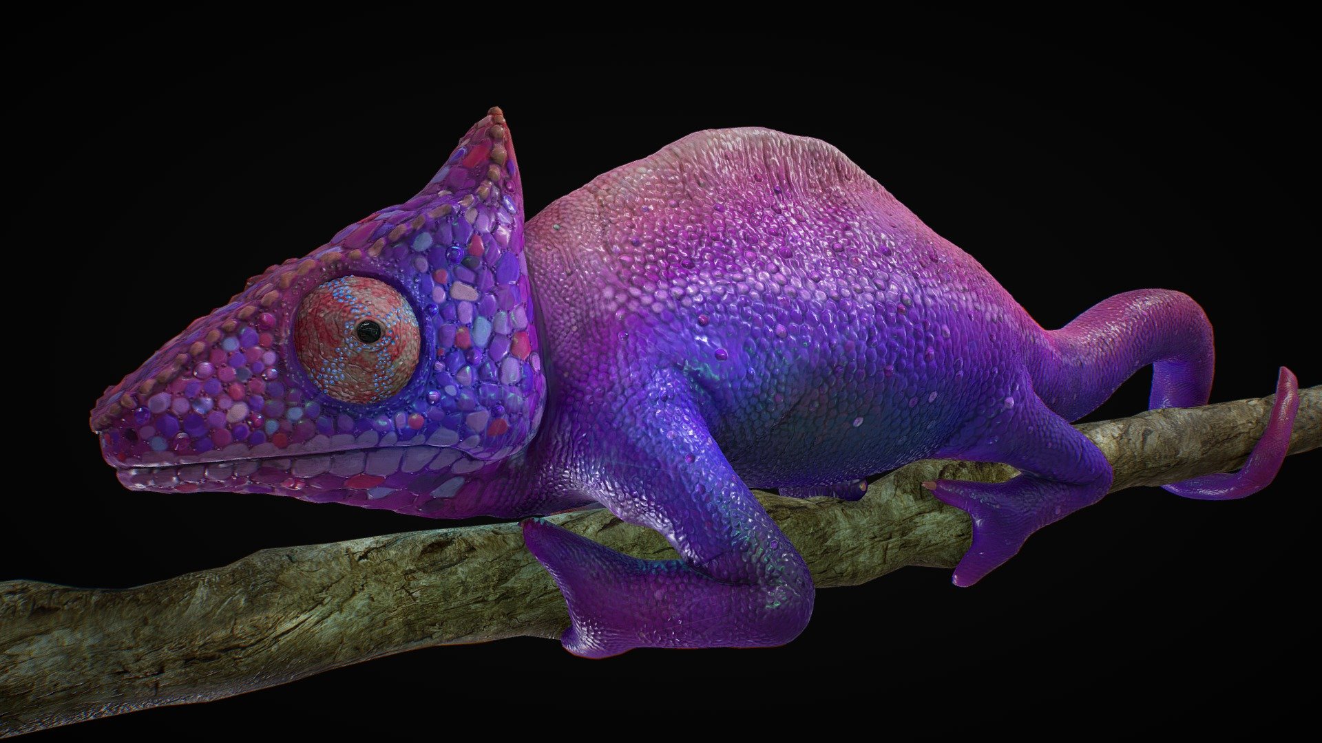 Neon Chameleon - 3D model by andrzejBG [d2a050a] - Sketchfab