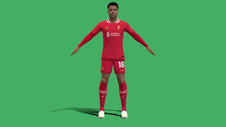 3D Rigged Cody Gakpo Liverpool 2025 3D Model