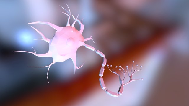 Neuron for PSY150 3D Model
