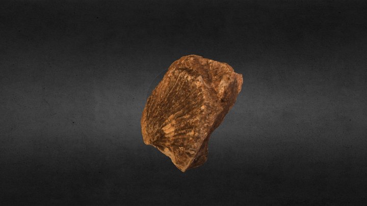 Monotis 3D Model
