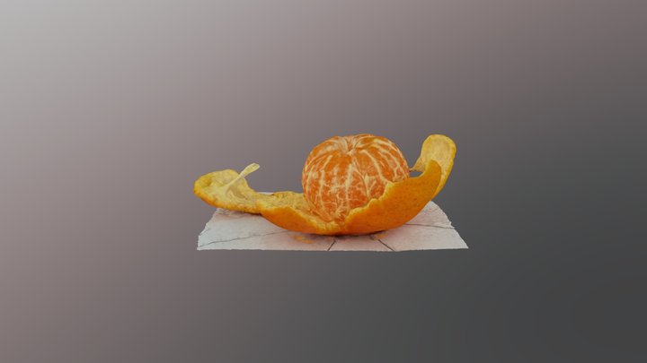 3D scan orange 3D Model