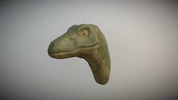 Velociraptor 3D Model