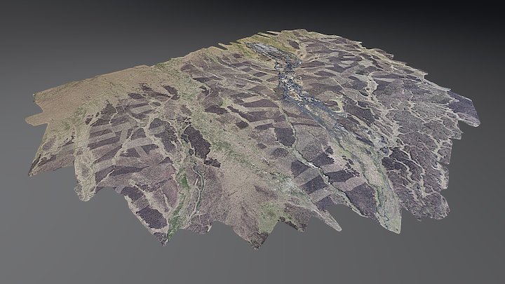 Peat slope failure after storm event 3D Model