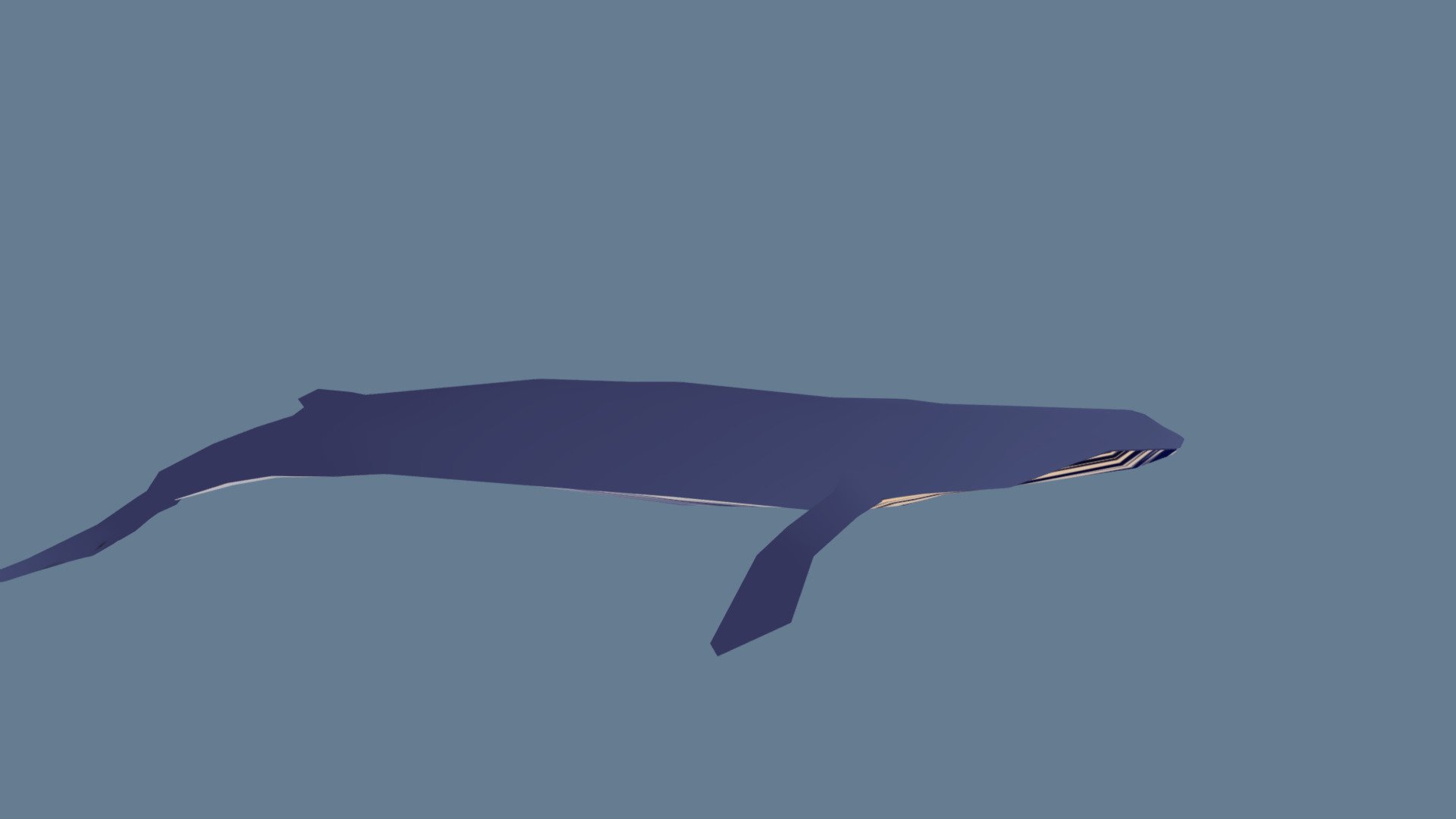 Blue Rorqual