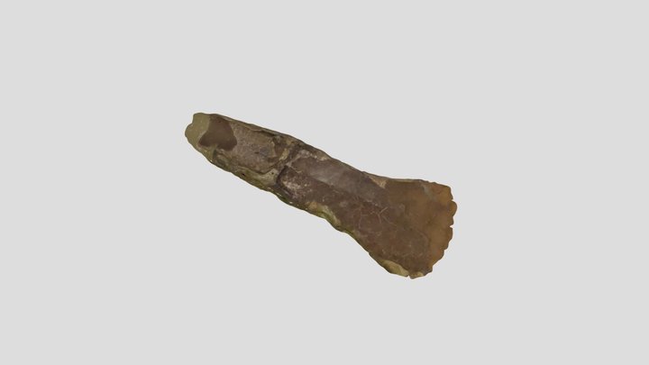 Palstaveaxe 3D models - Sketchfab