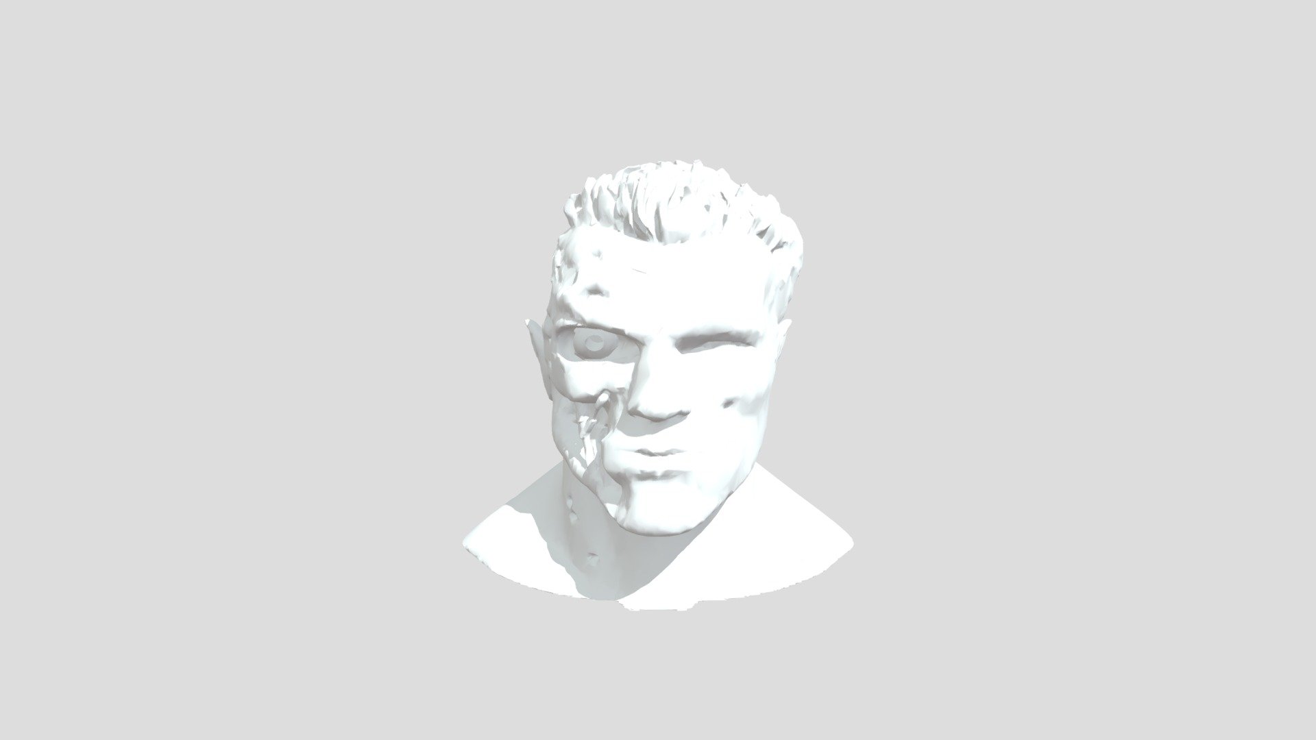 Terminator T800 Bust