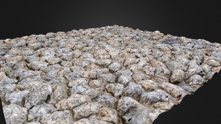 PavGround  3D Model