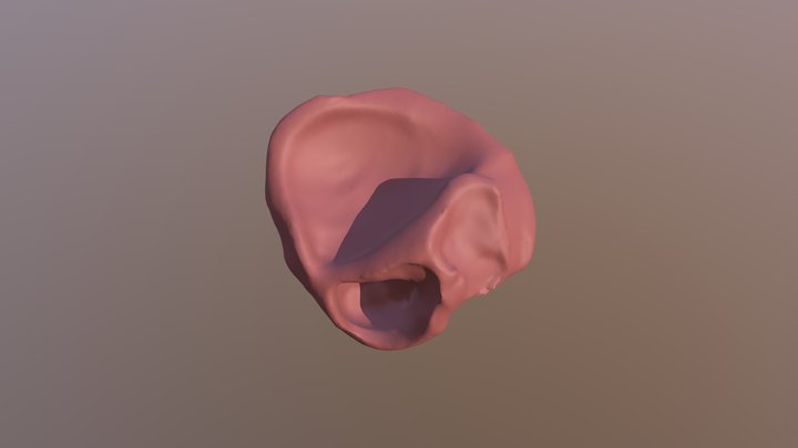 hippish 3D Model