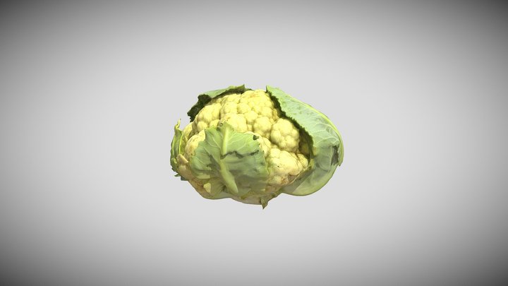 Cauliflower 3D Model