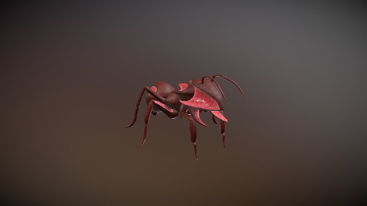 Ant (Draft 1) 3D Model