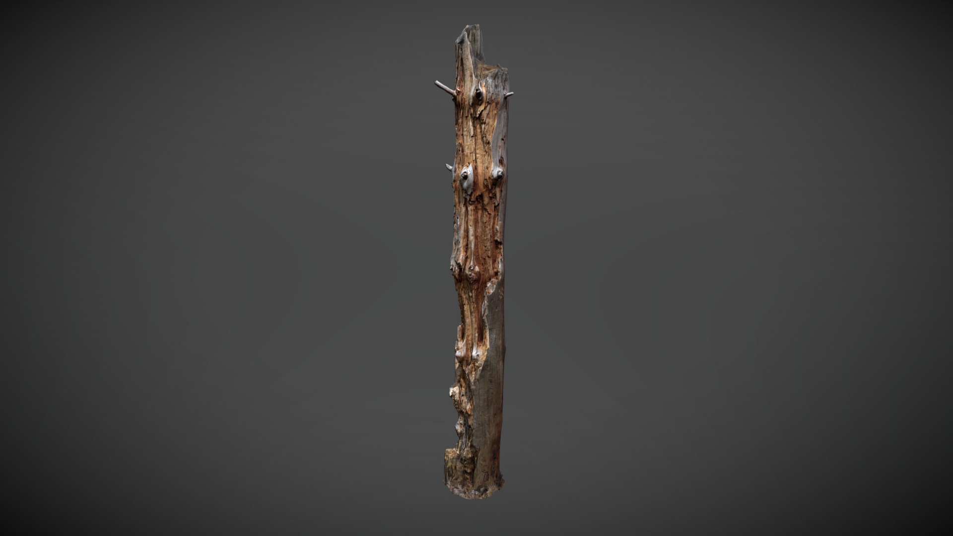 3D model Dead tree 3d scan (SNA0002) - This is a 3D model of the Dead tree 3d scan (SNA0002). The 3D model is about a piece of wood with a stick stuck in it.
