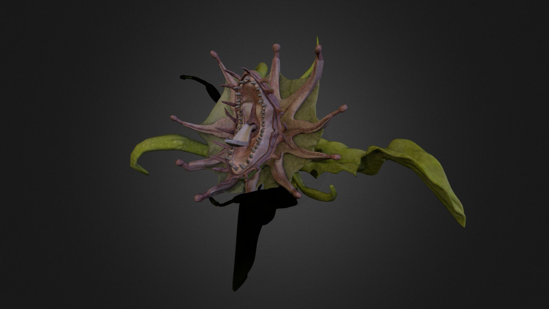 Plant - 3D model by f4lcon [d2bf82c] - Sketchfab