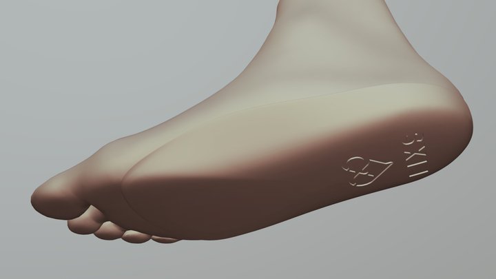 FOOT INSOLE FIXS 3D Model