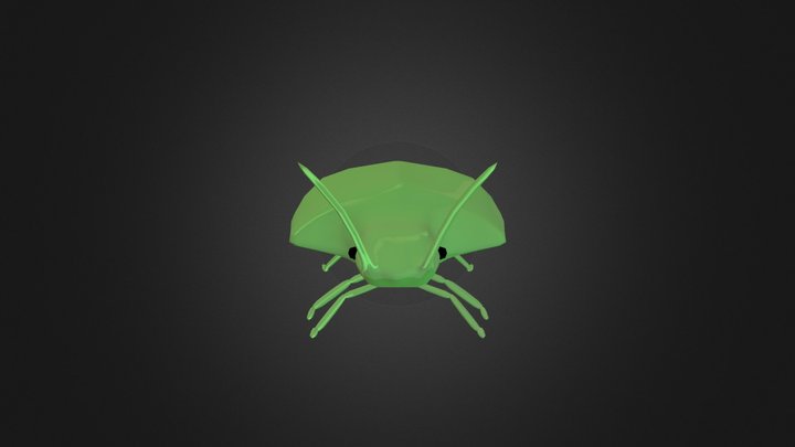 Bedbug 3D Model