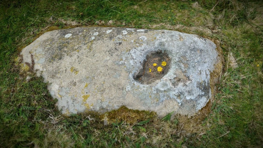 F118.12 - Cupmarked Stone