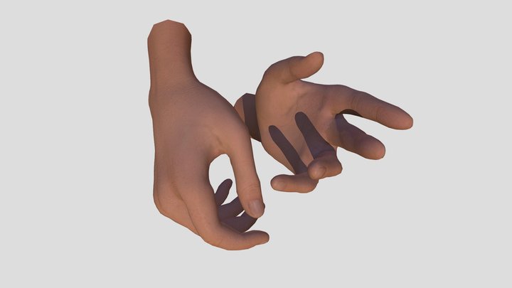 Hands preview 3D Model