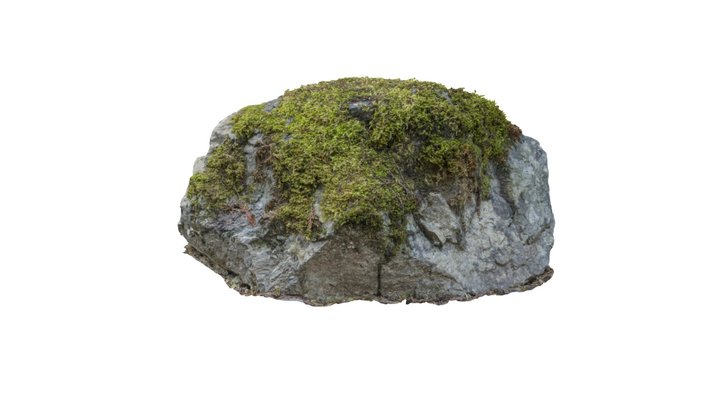 Sir Stirling Moss Rock 3D Model