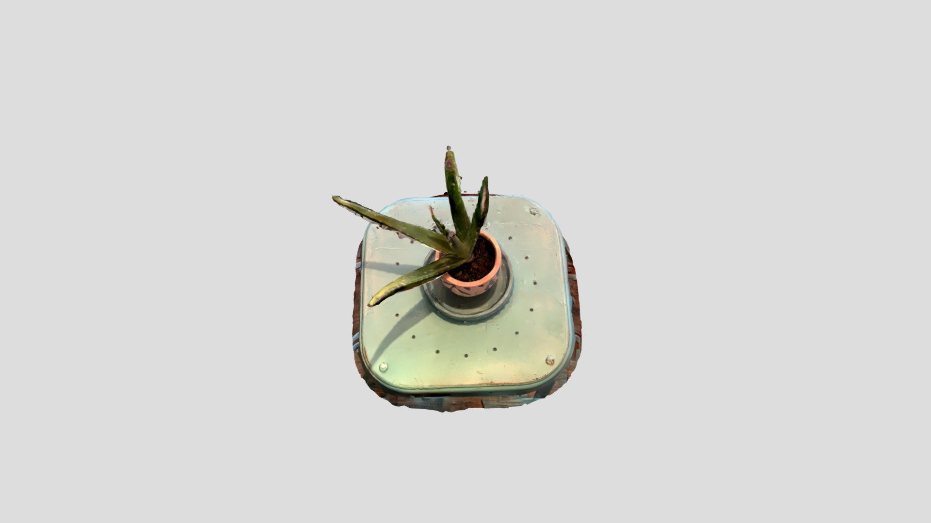 Jake Burden_ Aloe Plant_ Object Mode