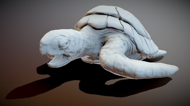 Green Sea Turtle 3D Model