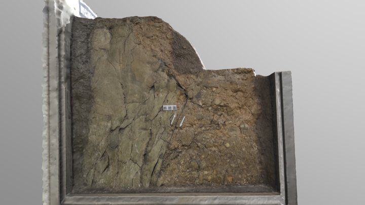 野島断層切り取り標本 ; A block sample of the Nojima fault 3D Model