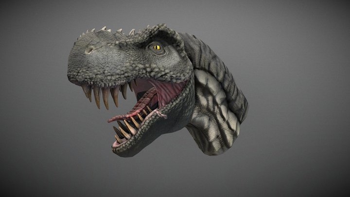 T- Rex 3D Model