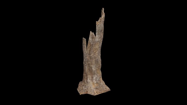 Dead Tree Trunk 3D Model