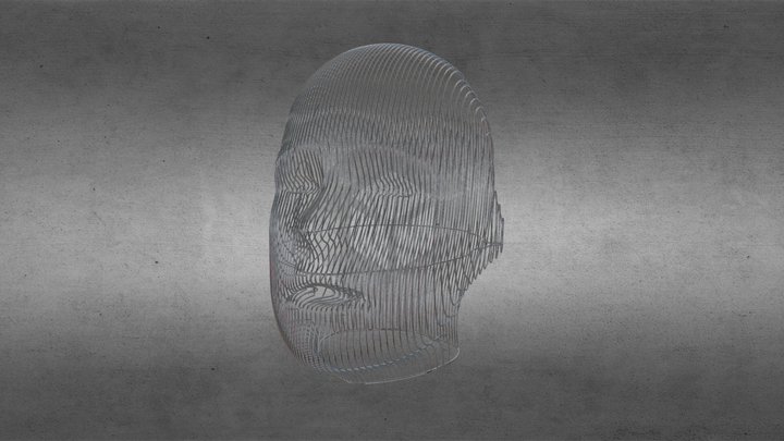 Wire-Framed Head – Modelo 3D gratuito STL
