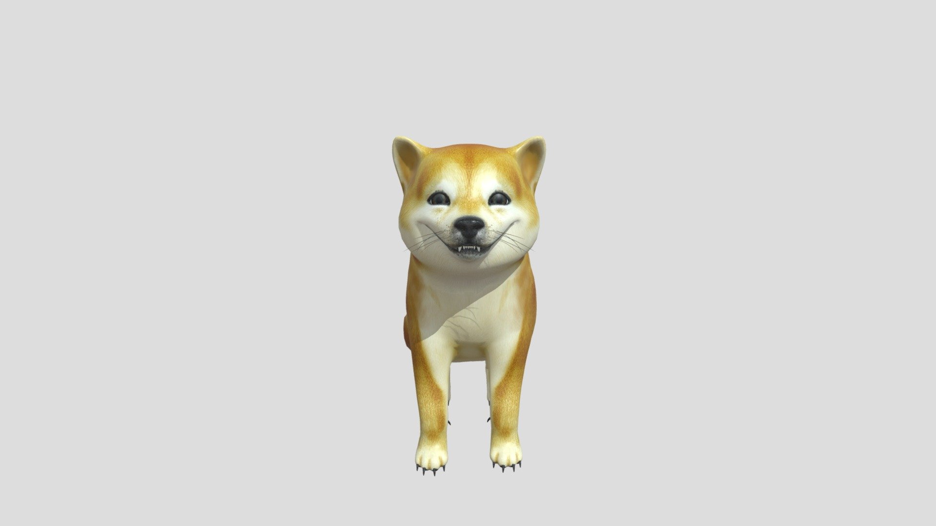 SHIBA8 R42 2